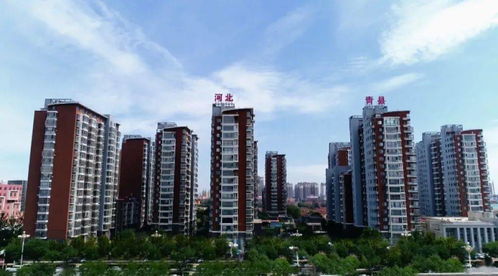 青縣樓盤市場傳遞出重磅信號 樓盤策劃代理角色升級與市場變革